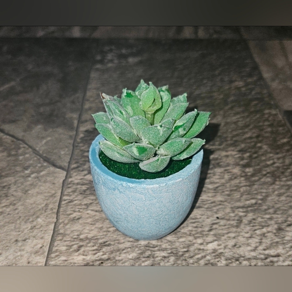 Artificial Succulent in Light Blue Ceramic Mini Planter - Home Accents BNIB
